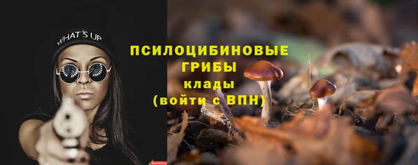 дурь Волоколамск