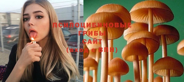 дурь Волоколамск